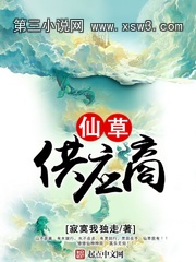 仙草供应商 仙草供应商